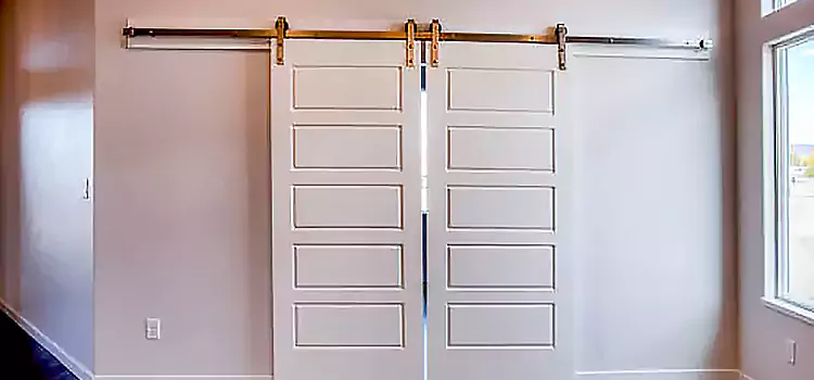 Glass Barn Door with Installation Hardware Kit South Pasadena