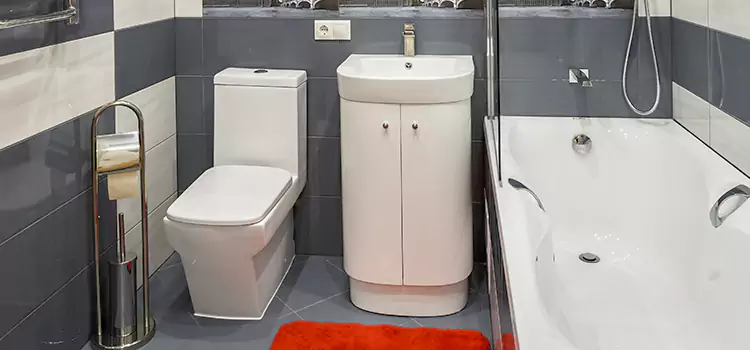 Hansgrohe Shaving Mirror South Pasadena